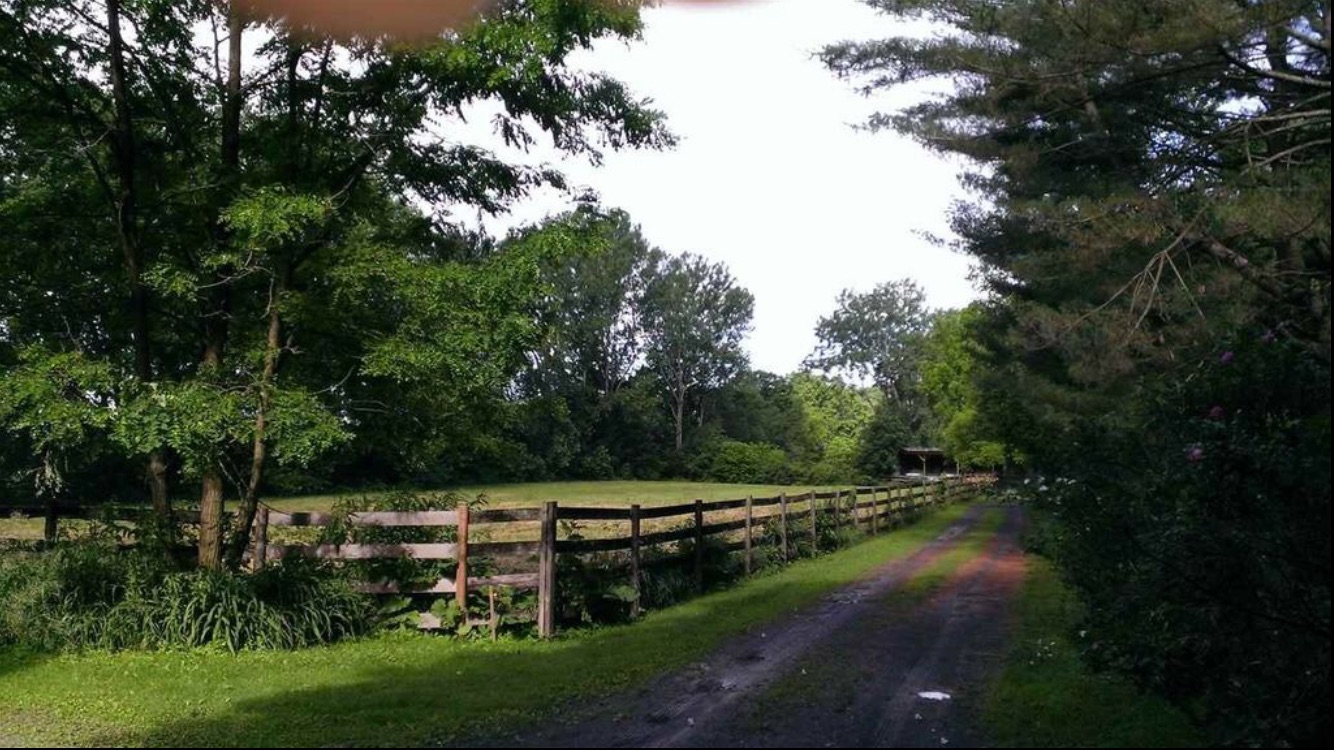 Spacious 1 Bdrm Apt on Waterfront Horse Farm - Photo 3