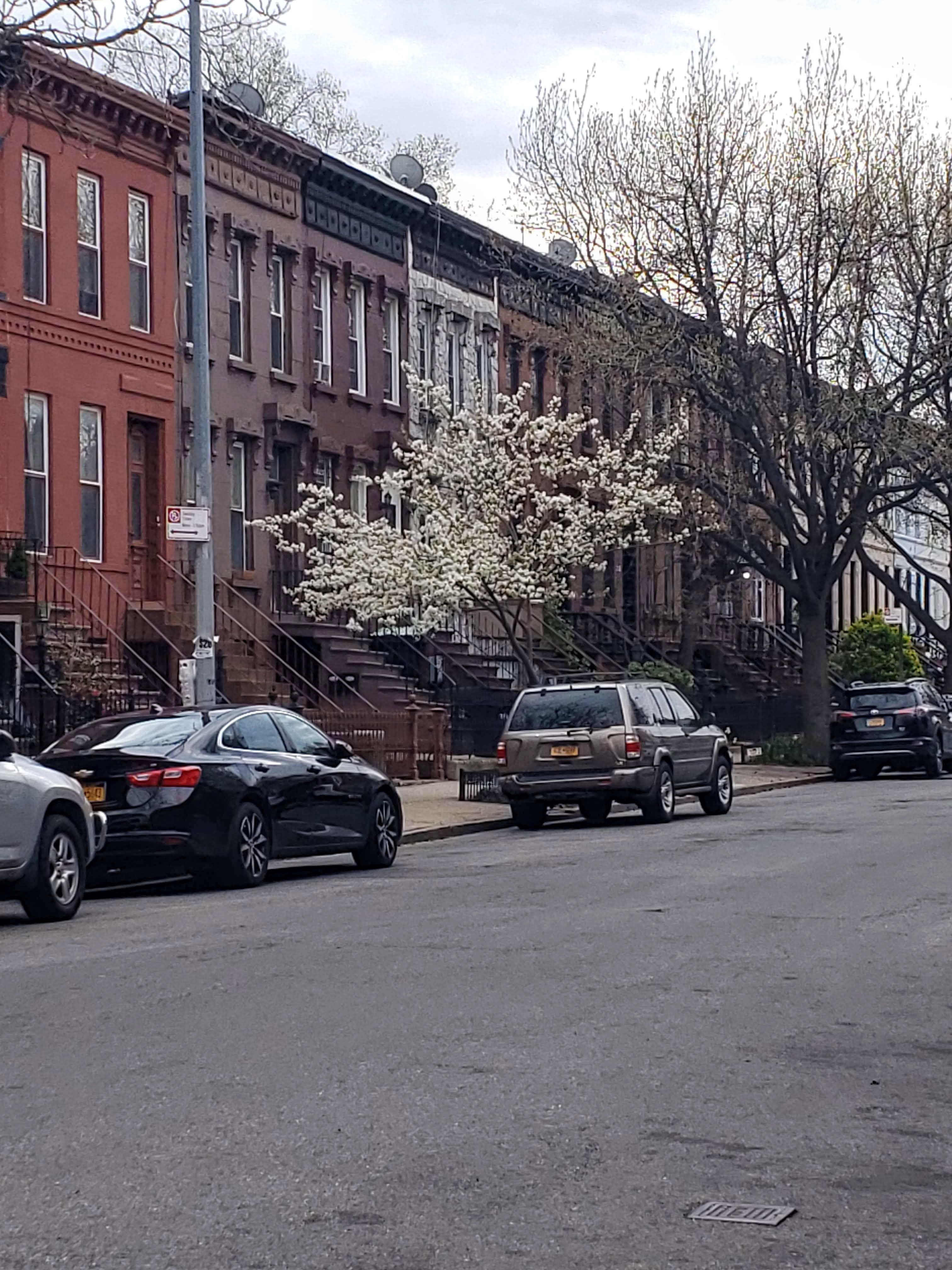BK HOME AWAY FROM HOME - Furnished 2BR in Bed-Stuy - A/C/J/M/Z Access - Wi-Fi + Utilities Included - Photo 1