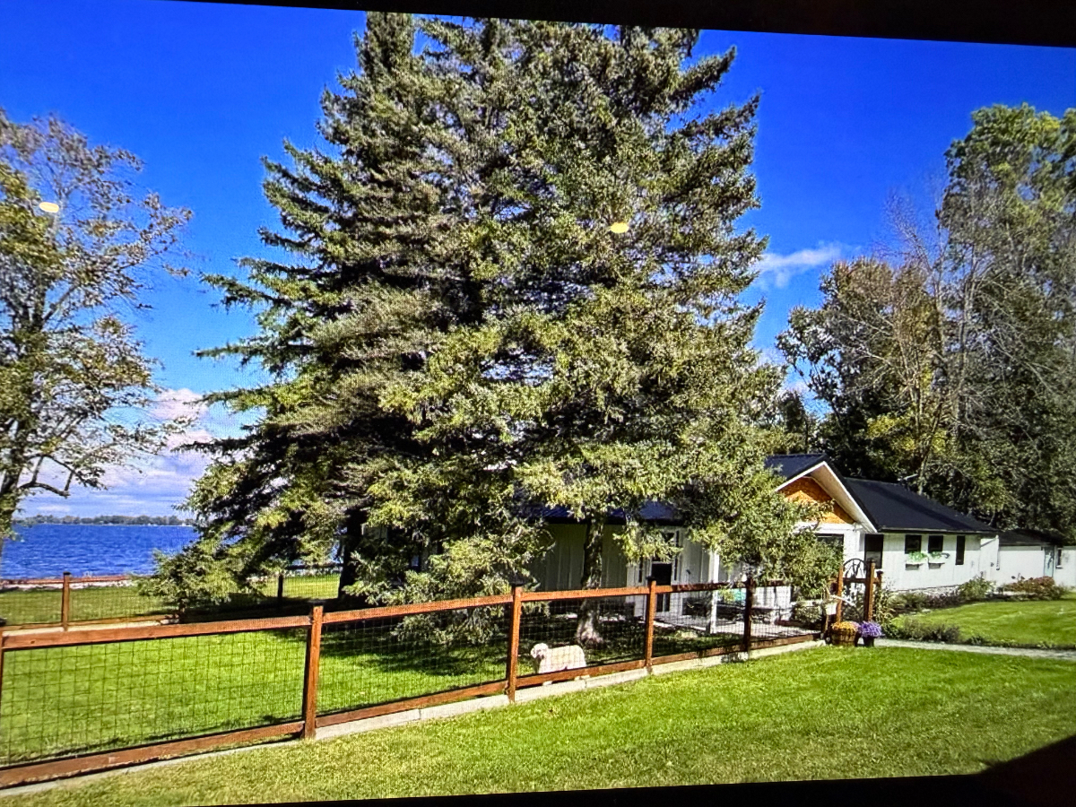 Lakefront retreat on Isle la Motte available Oct 15 - Photo 4