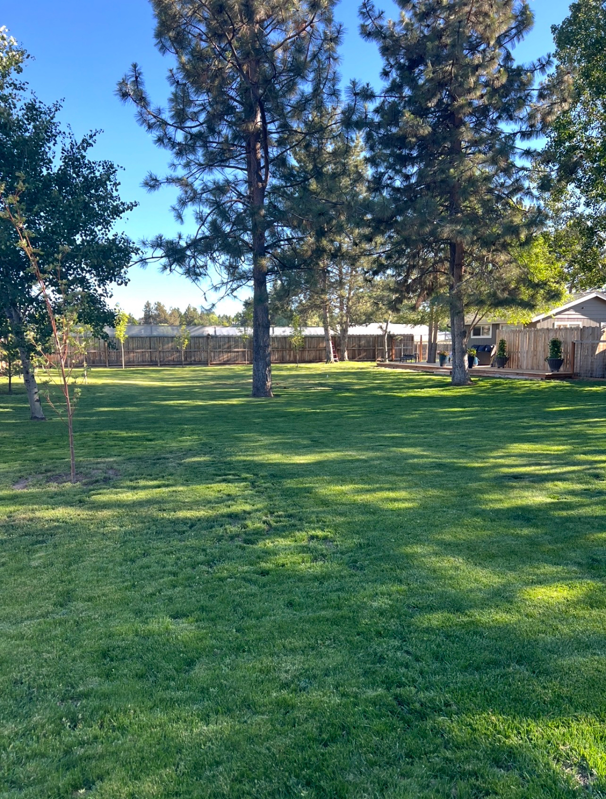 Cozy home with large yard - Photo 6