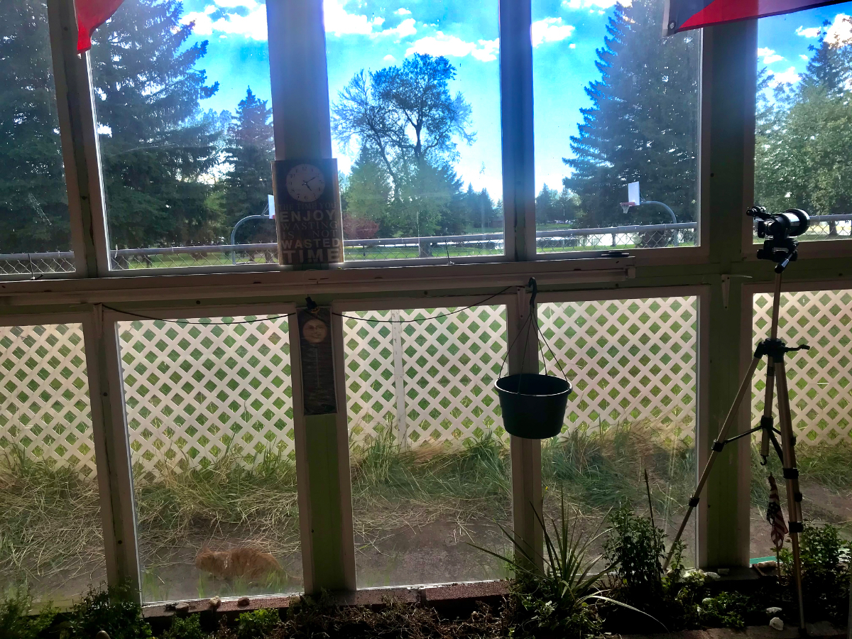 Cozy Retro House - Photo 10