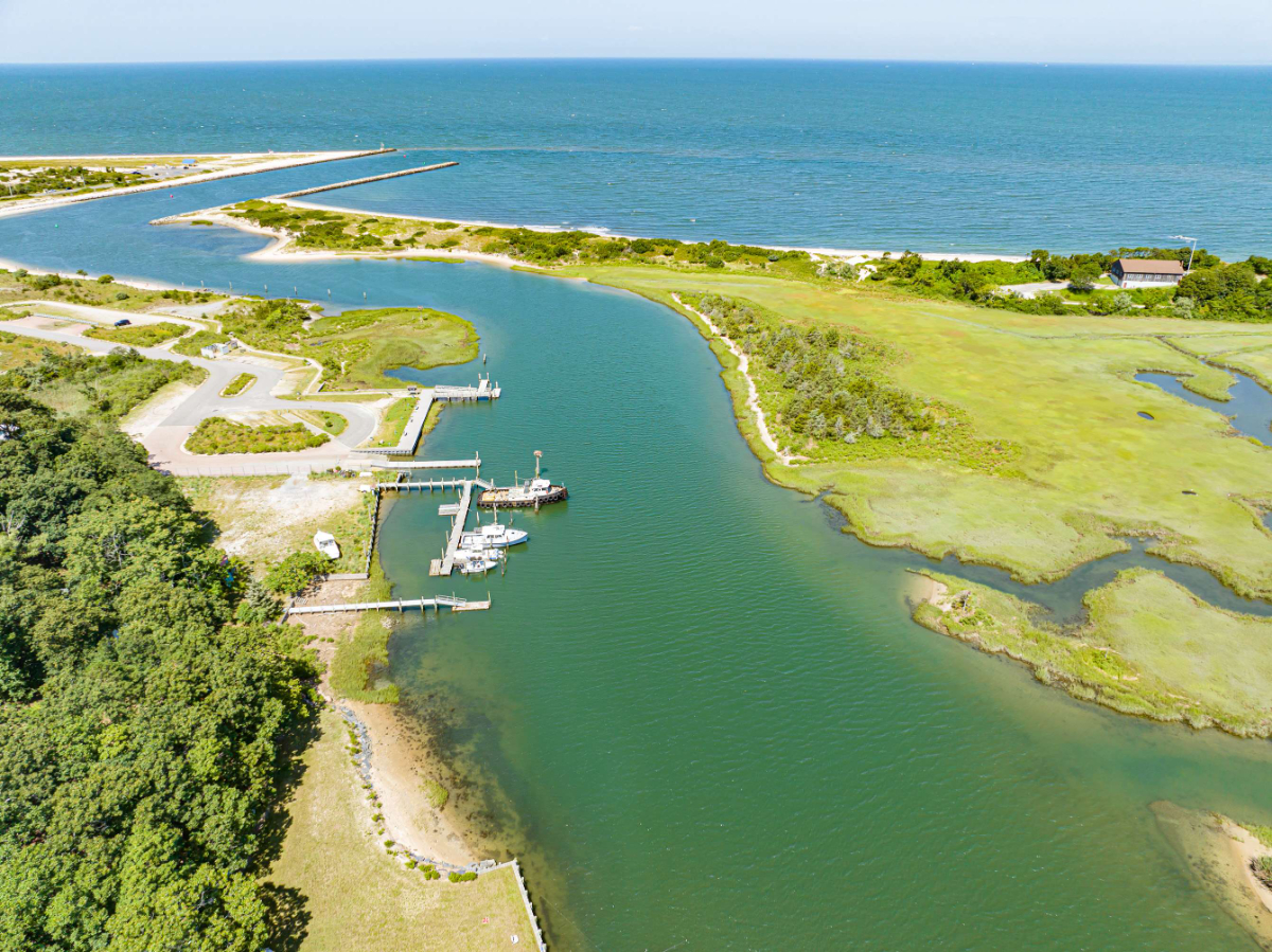 Nature's Paradise | Private Dock & Water Views - Photo 3