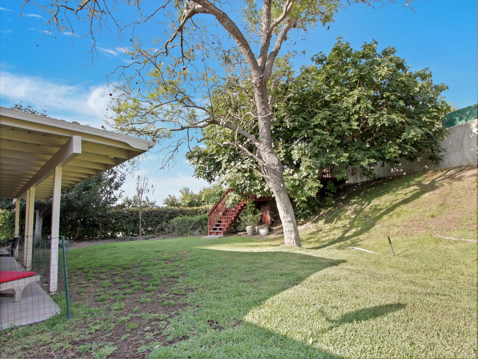 Nestled Amongst the Trees - Photo 6