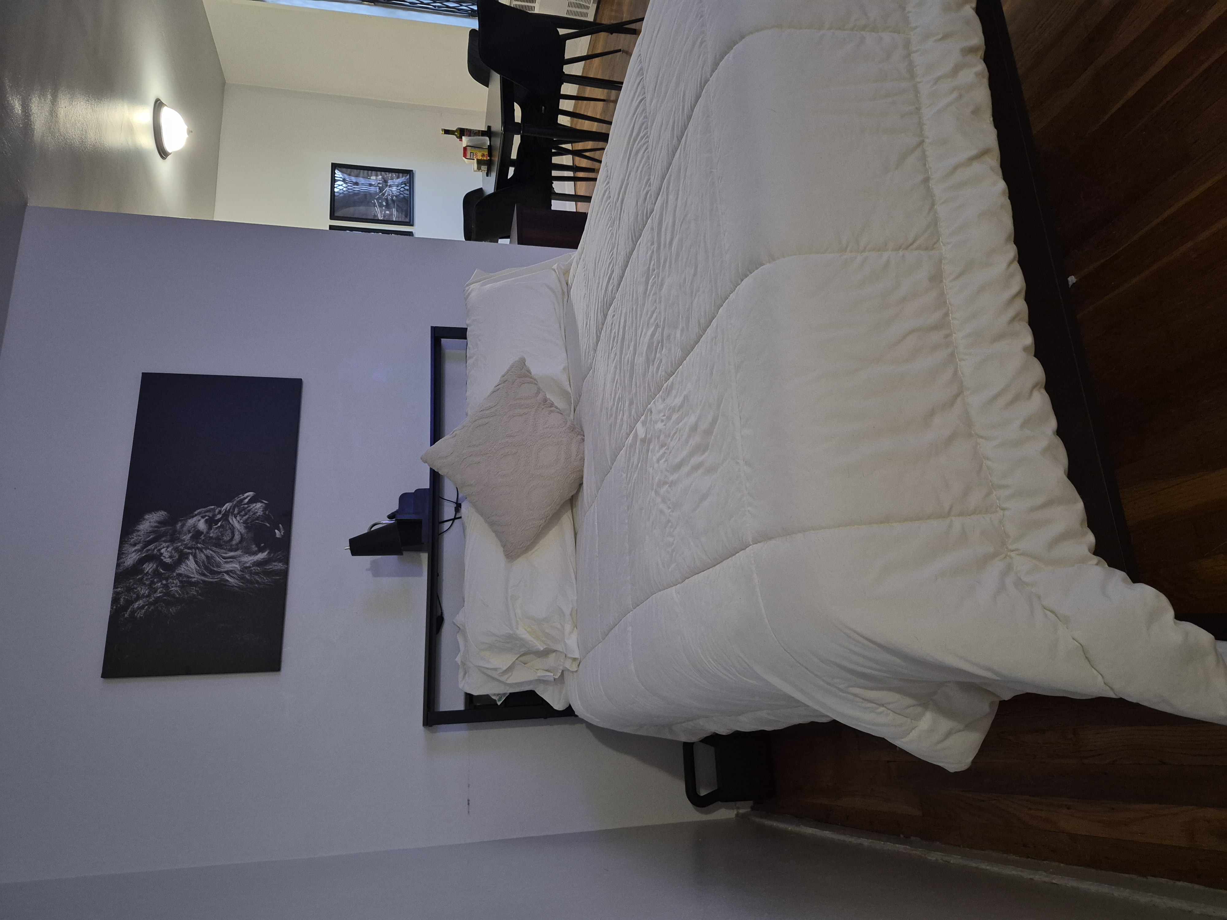 Spacious Studio with lots of Natural Light - Photo 7