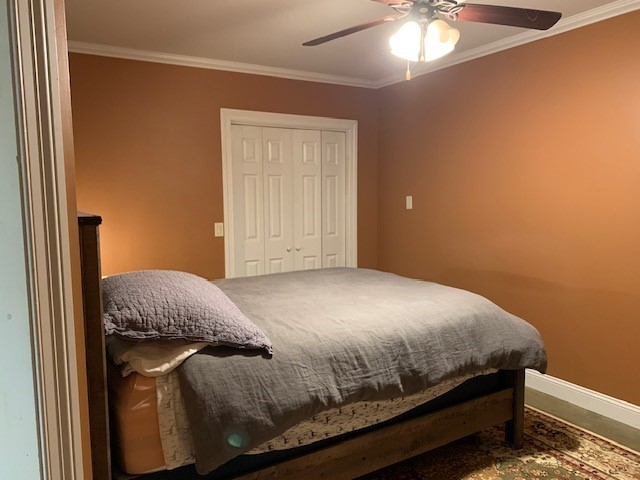 Newly Renovated, High Ceilings - Photo 3