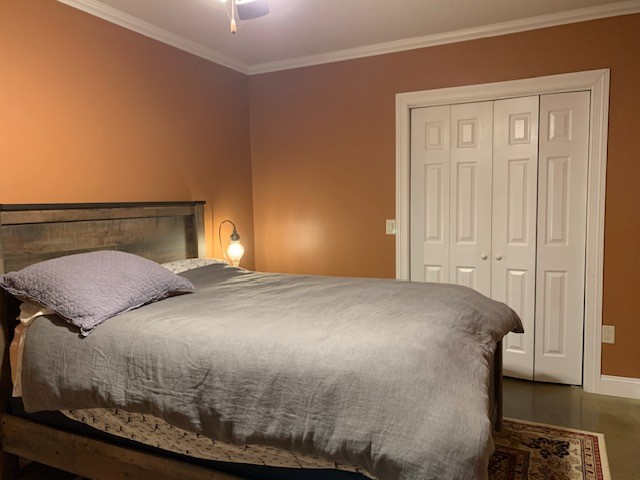 Newly Renovated, High Ceilings - Photo 2