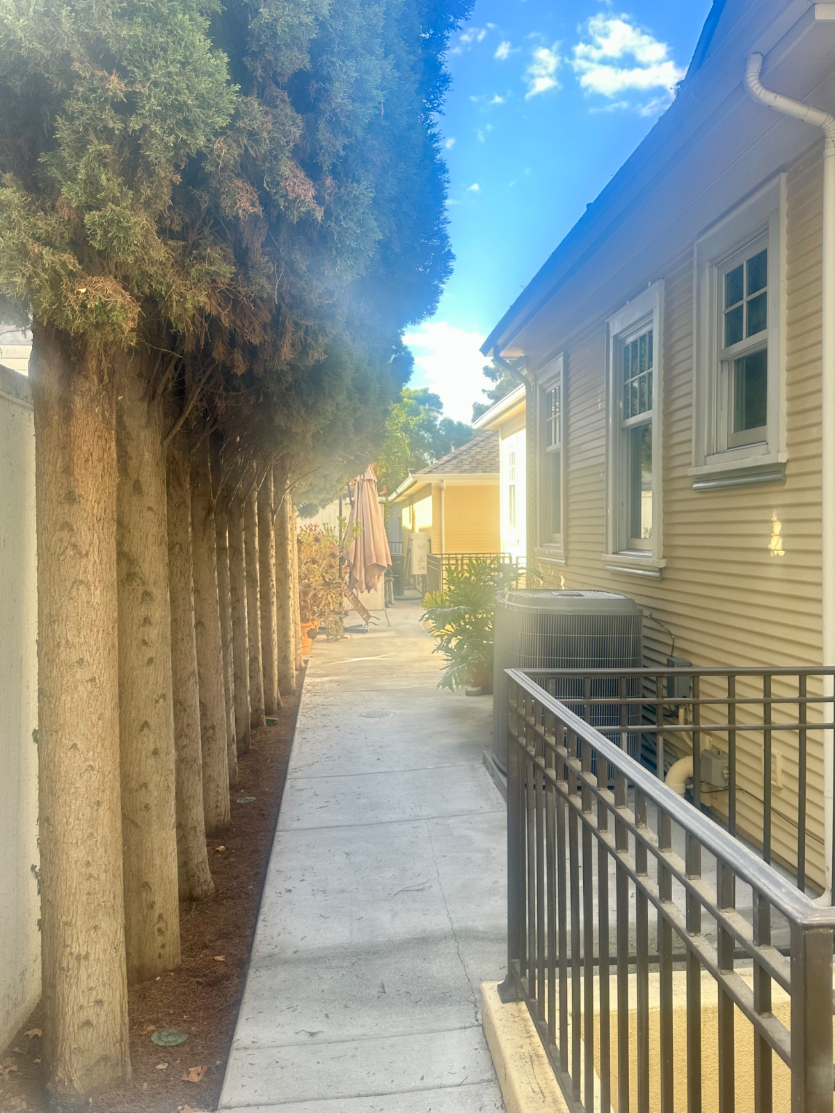 Luxury Studio ADU in historic Rose Garden Neighborhood - Near Hospitals, Downtown & Airport - Photo 4