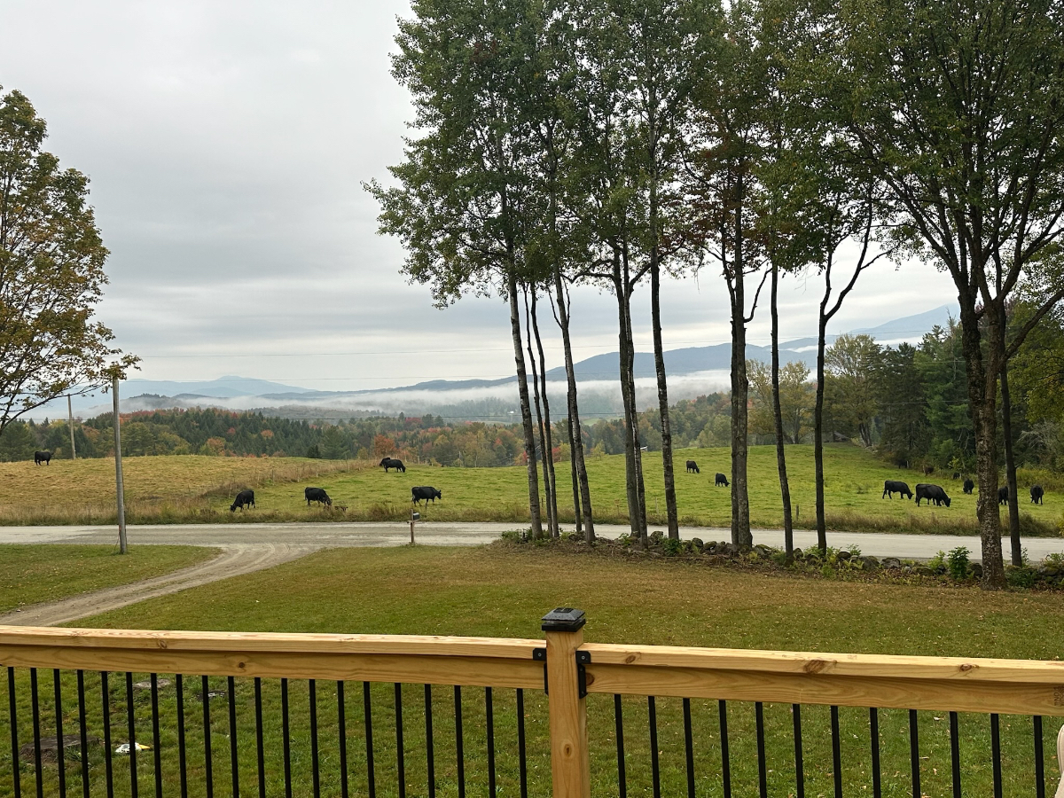 Cozy Cabin in the Country - Photo 3