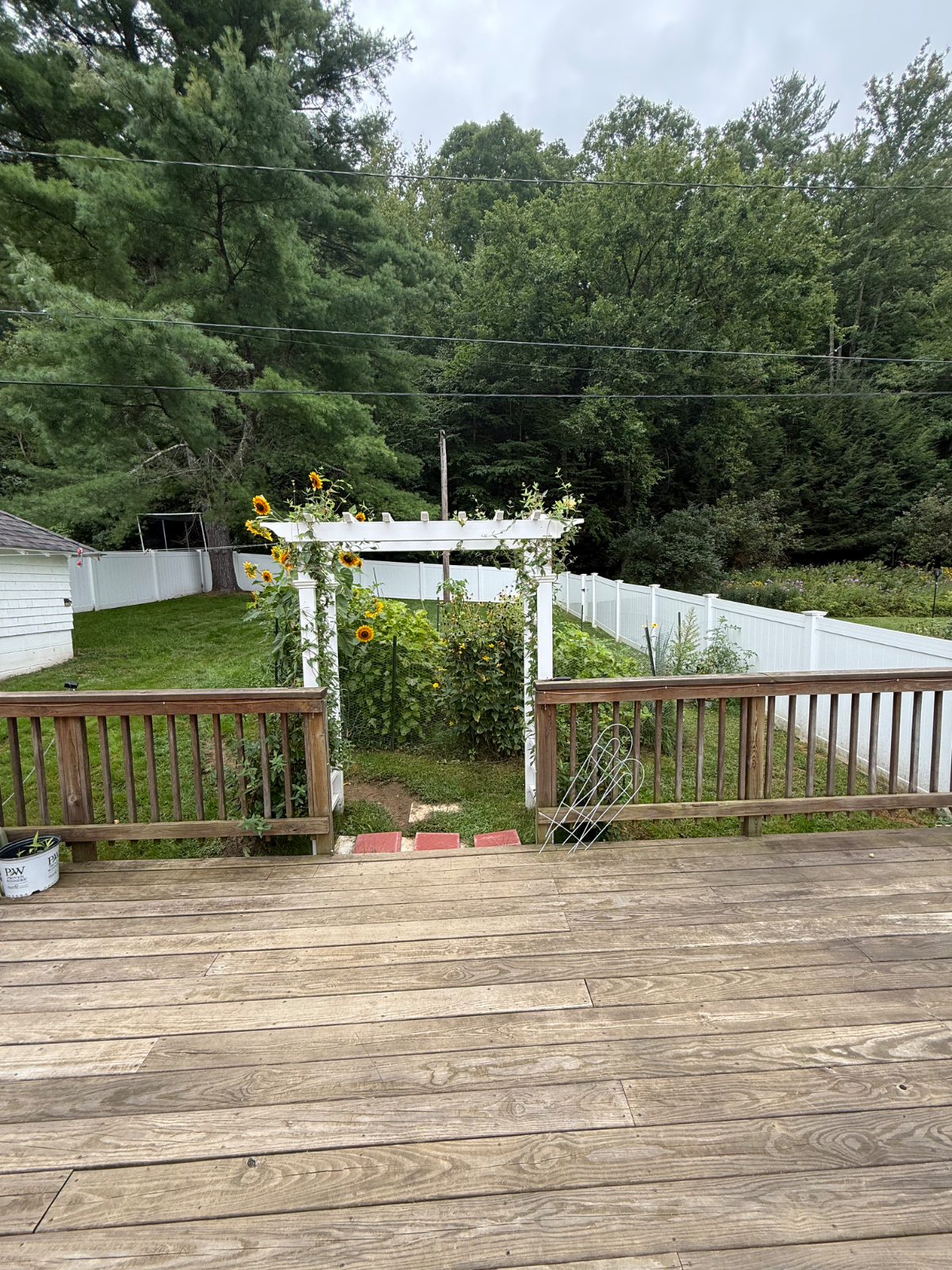 Traveler Pair's Dream: Fully Renovated 2BR/1.5BA Home | Fenced Yard & Ultra Dog-Friendly - Photo 4