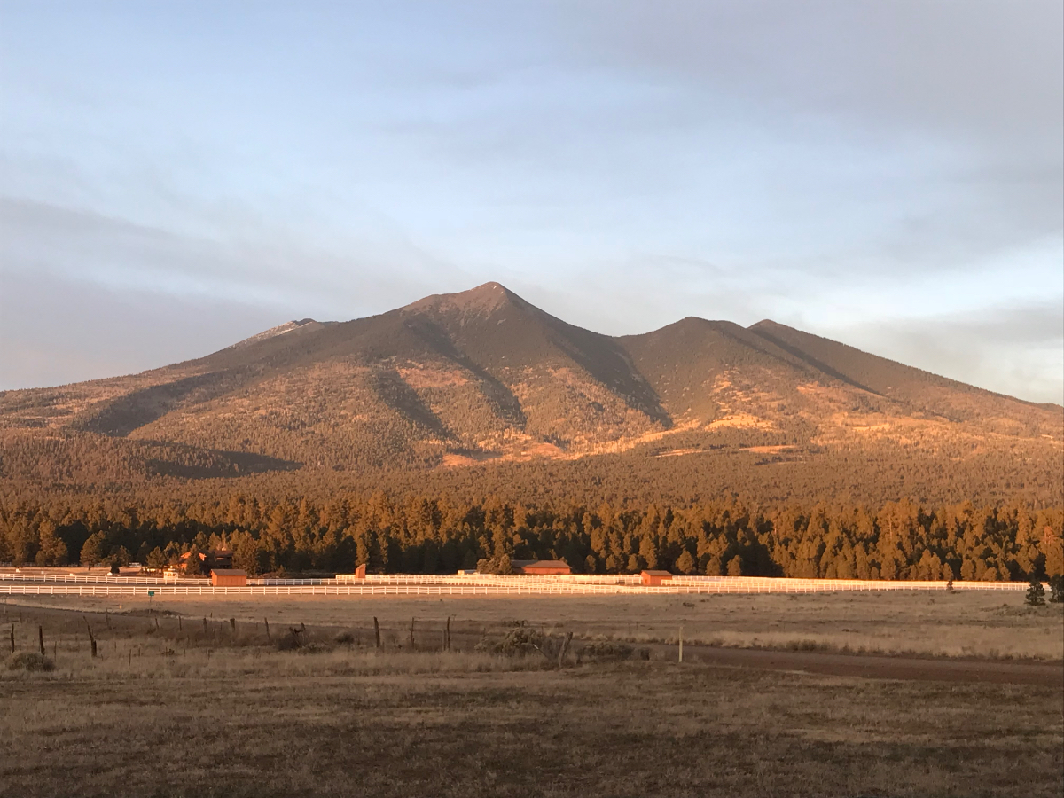 Wide Open Spaces in Ft Valley/Baderville