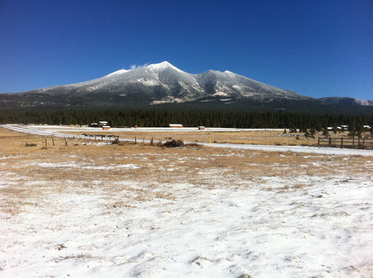 Wide Open Spaces in Ft Valley/Baderville - Photo 2