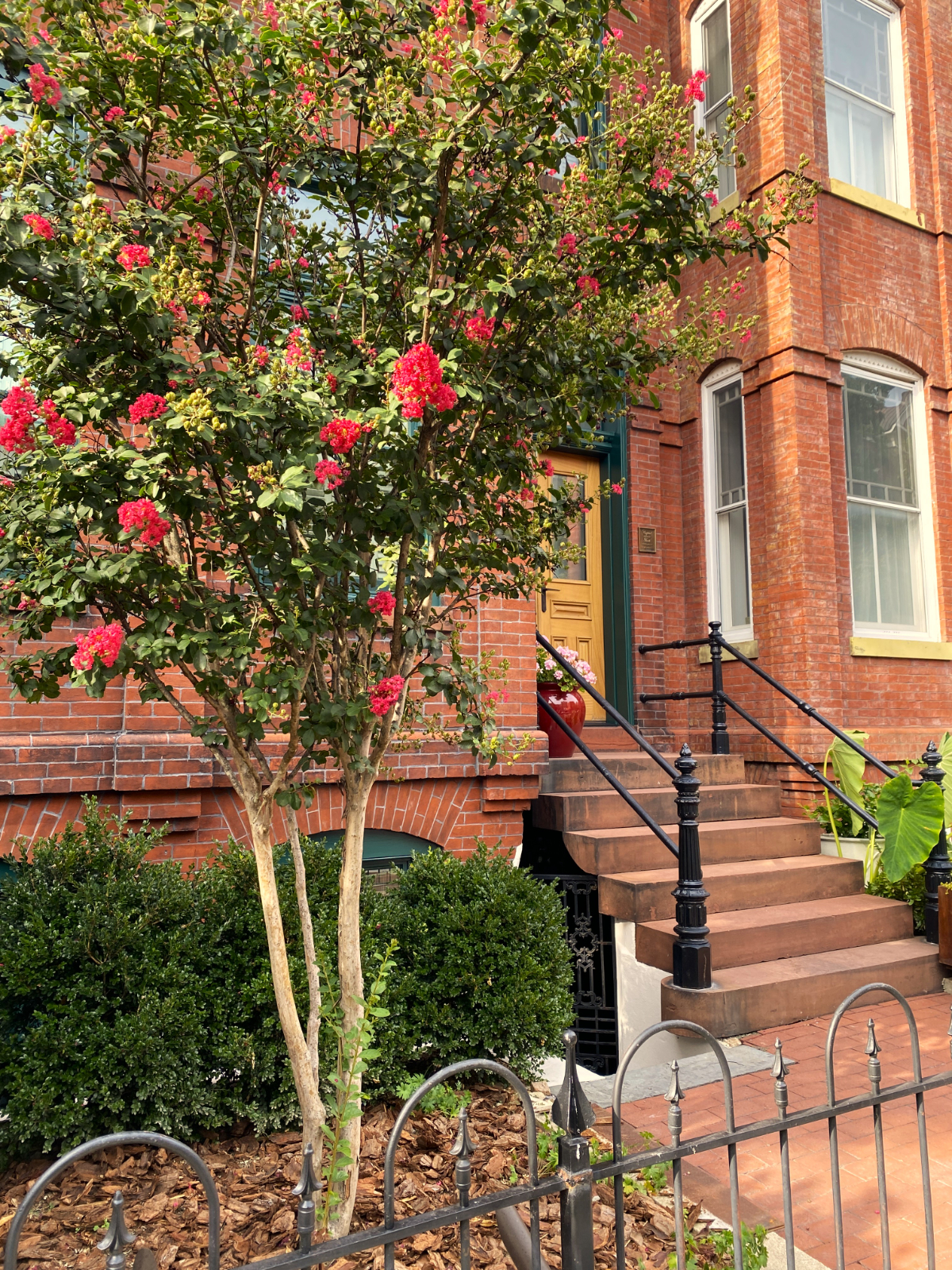 Embassy Row, Beautiful Apt in Townhome, Patio - Photo 5