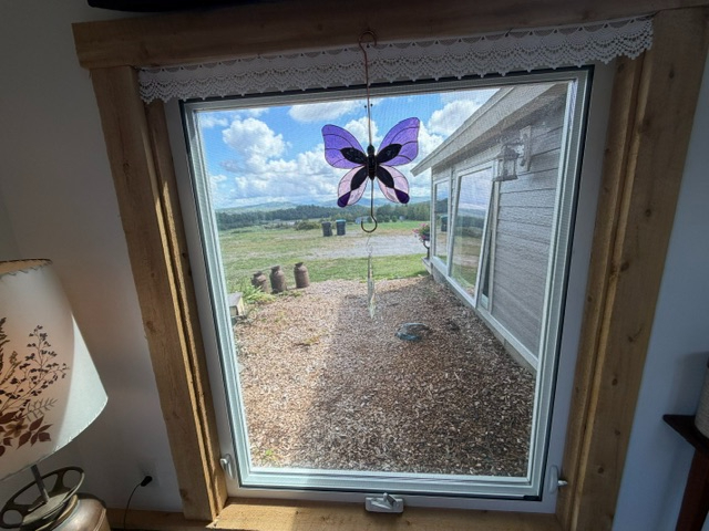 Country living with a sweet cottage to enjoy. - Photo 11