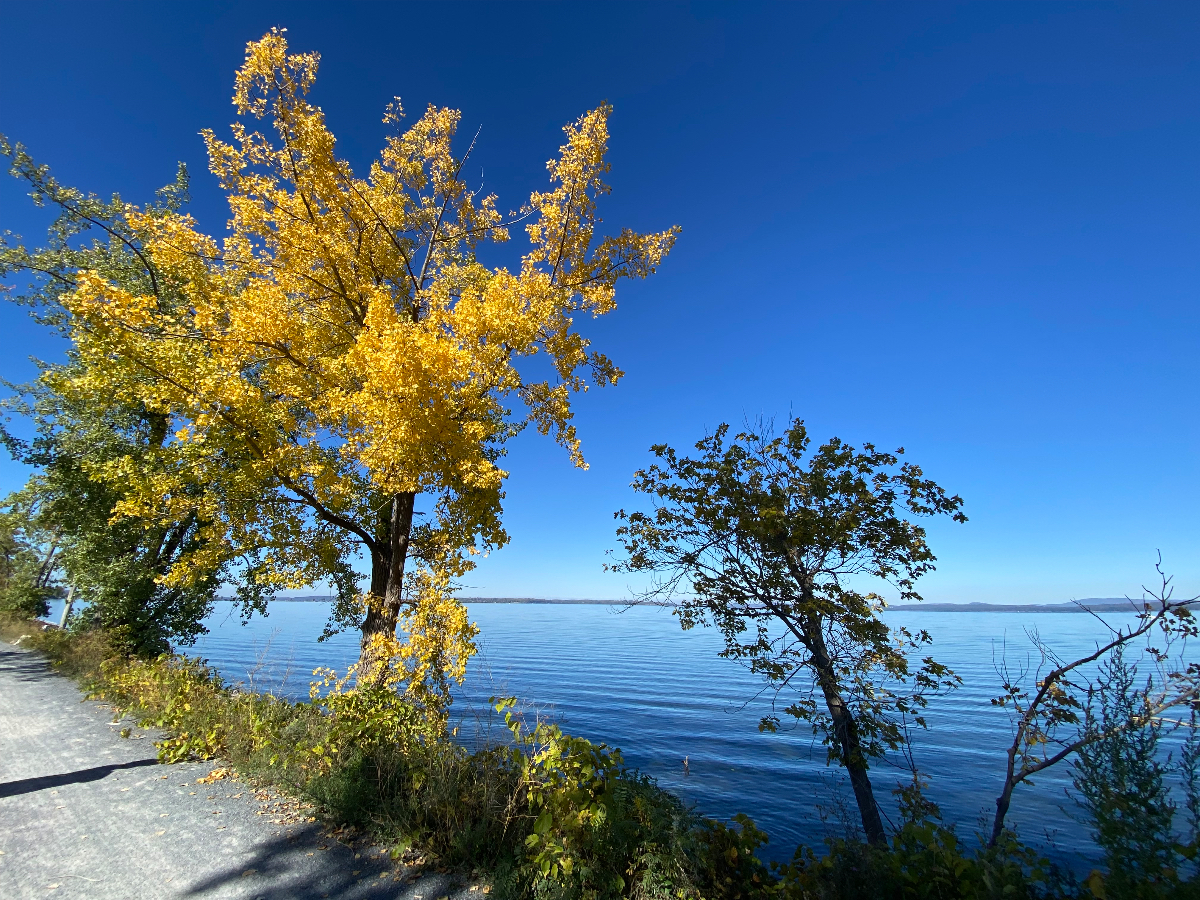 Beautiful cottage on Lake Champlain - Photo 9