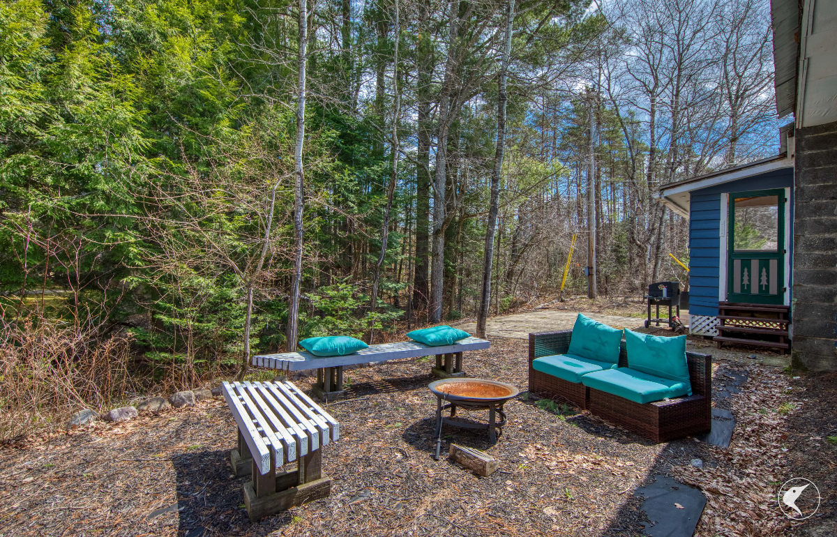 Newly remodeled 2B/2B - Photo 9