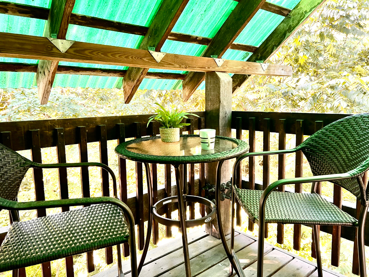 Quaint New England One Bedroom Apartment With Porch, Backyard, and Utilities Included - Photo 10