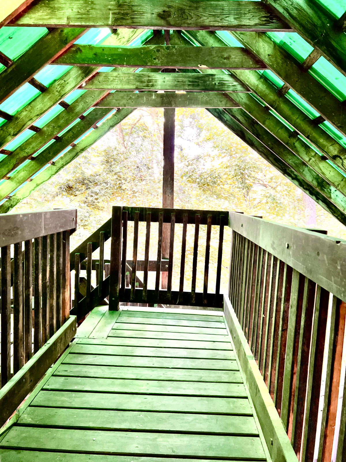 Quaint New England One Bedroom Apartment With Porch, Backyard, and Utilities Included - Photo 9
