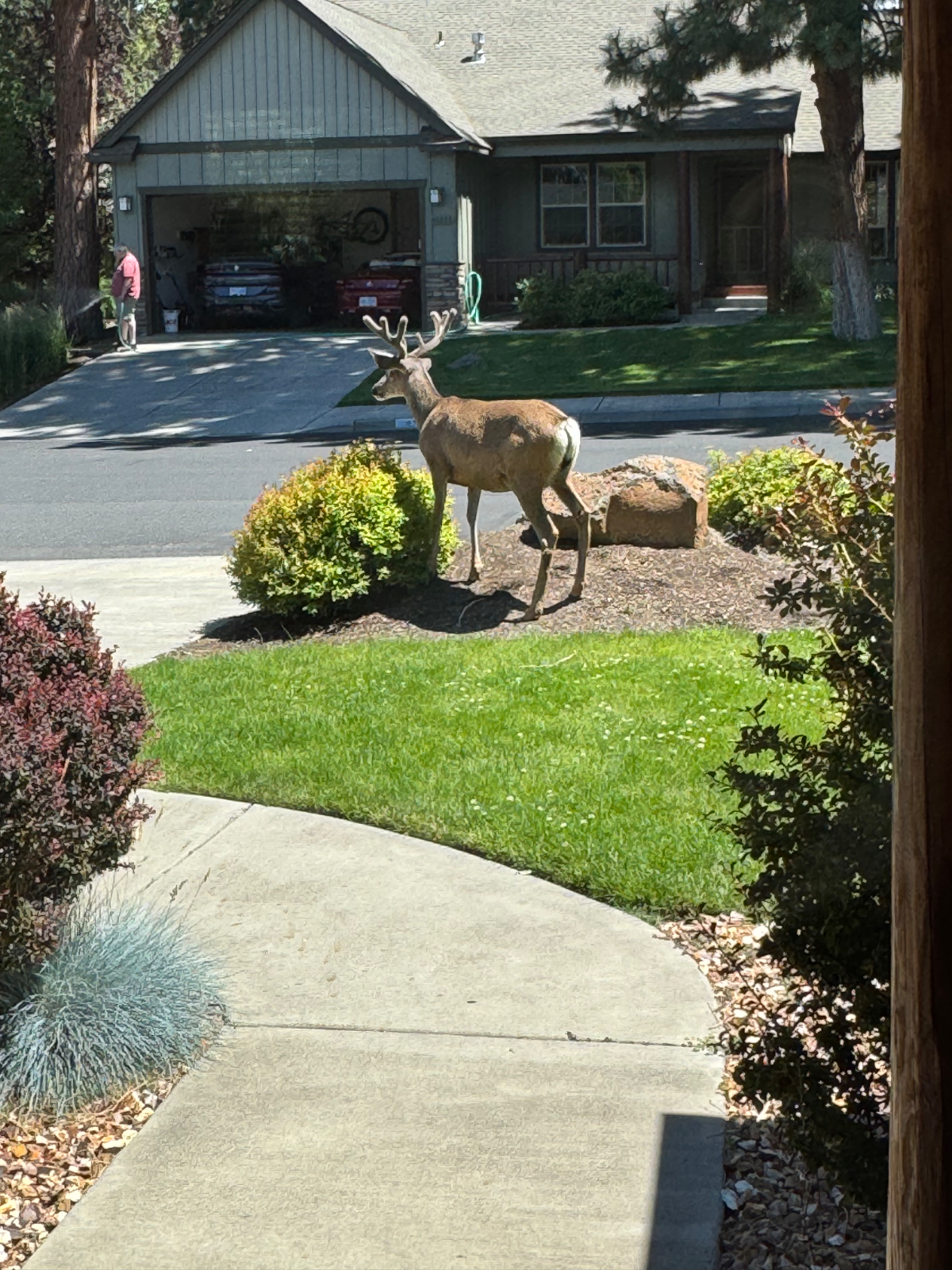 Mountain Pines Retreat - Photo 4