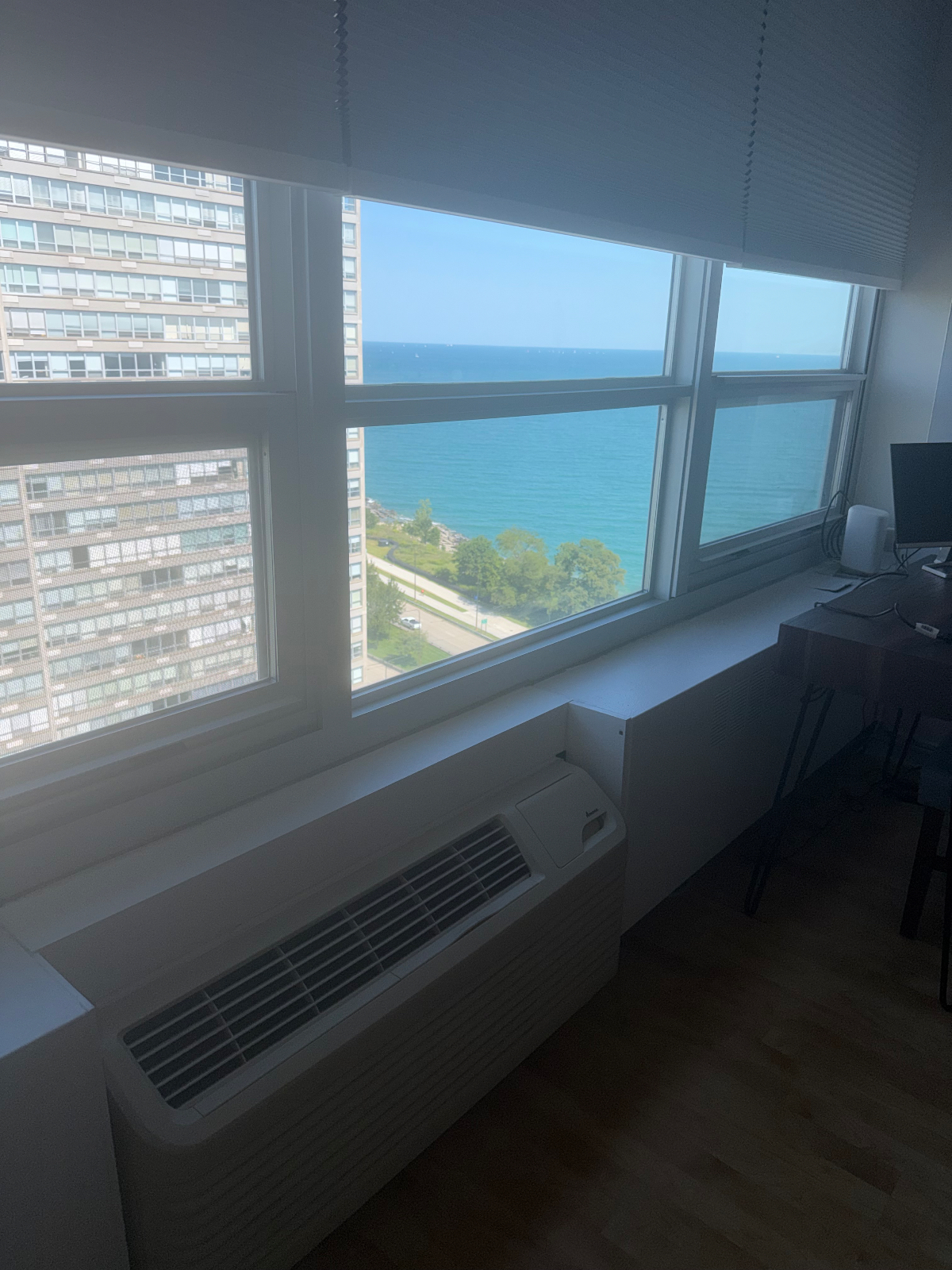 Lakefront Views & All-Inclusive Living! Furnished 1BR/1BA with Great Amenities - The Newport, Hyde P - Photo 5