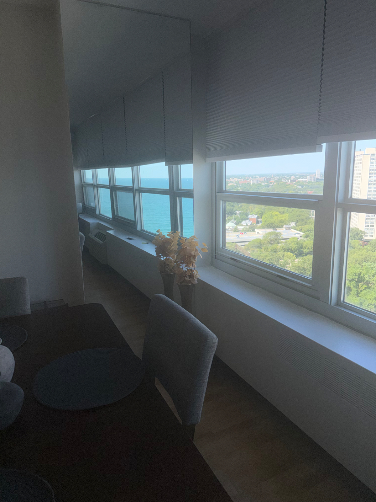 Lakefront Views & All-Inclusive Living! Furnished 1BR/1BA with Great Amenities - The Newport, Hyde P - Photo 11