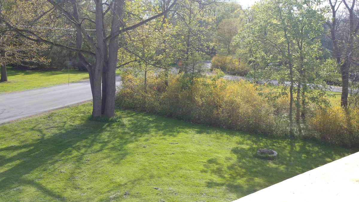 Sunny and Spacious Apartment - Photo 8
