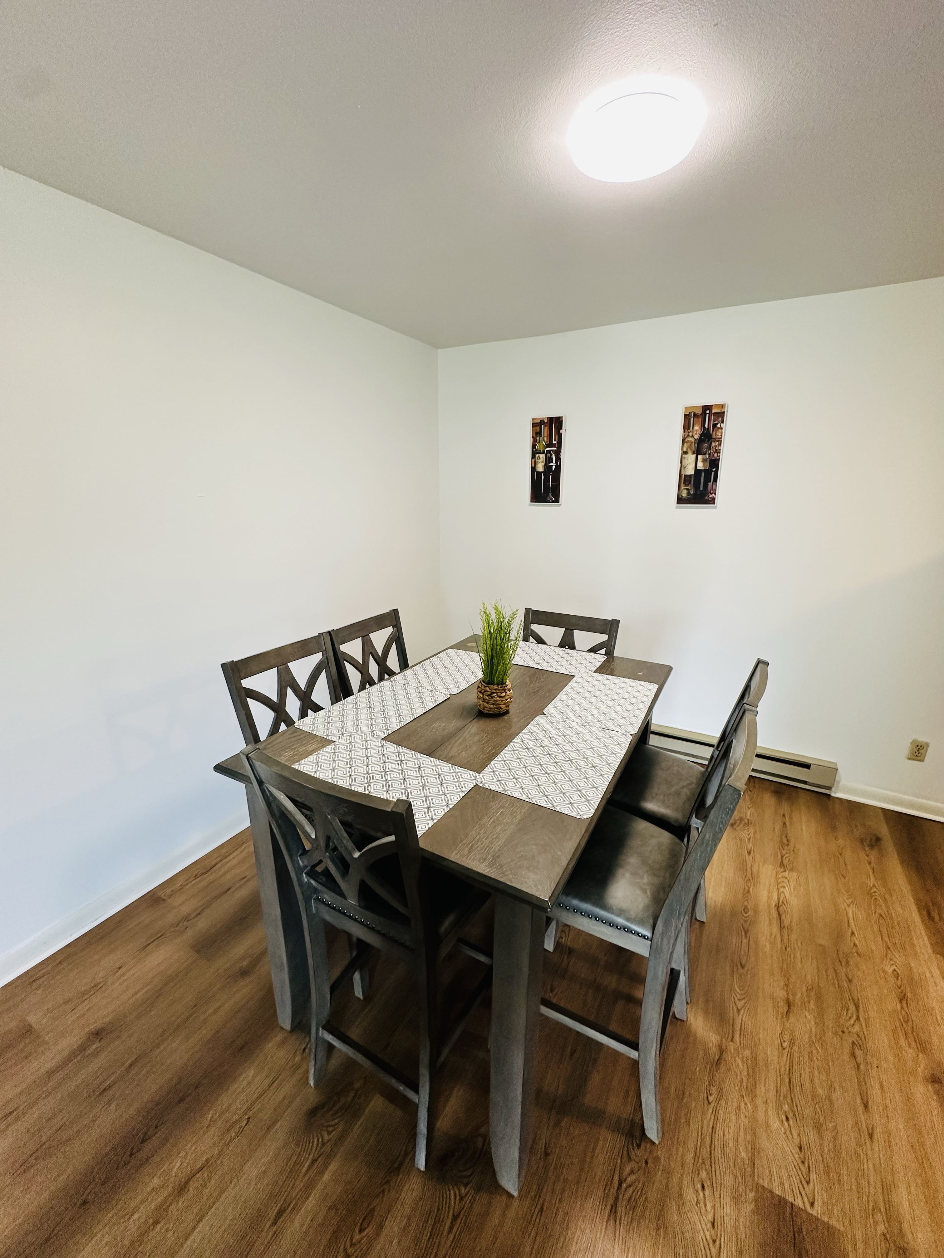 Cozy 2 bedroom apartment 12 mins from SYR Airport and Destiny USA mall - fully furnished , can be re - Photo 7