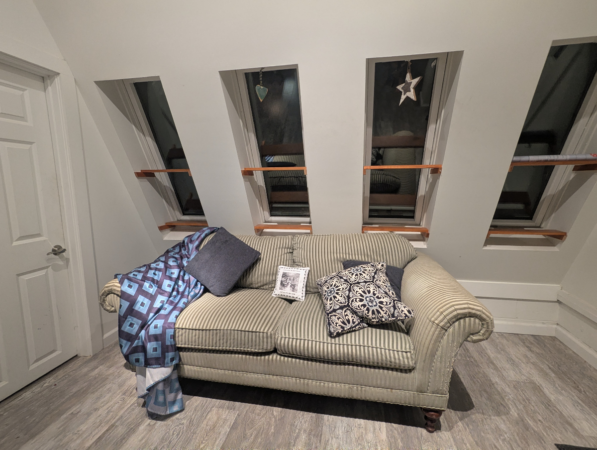 Relaxing, quiet, stylish apartment close to everything, yet nestled in the woods. pet friendly! - Photo 4