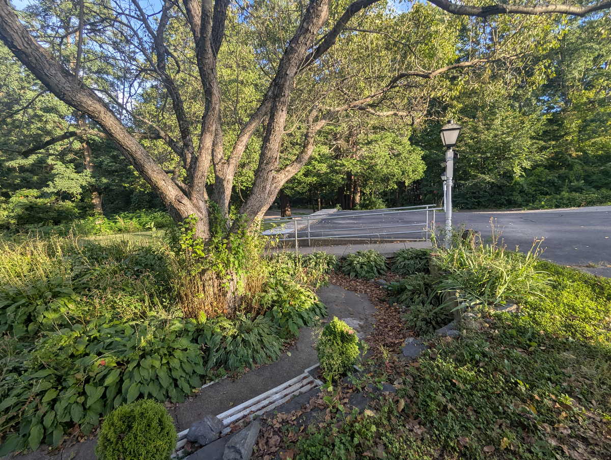 Relaxing, quiet, stylish apartment close to everything, yet nestled in the woods. pet friendly! - Photo 6