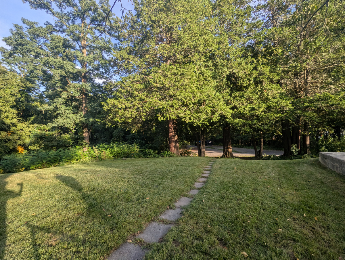 Relaxing, quiet, stylish apartment close to everything, yet nestled in the woods. pet friendly! - Photo 7