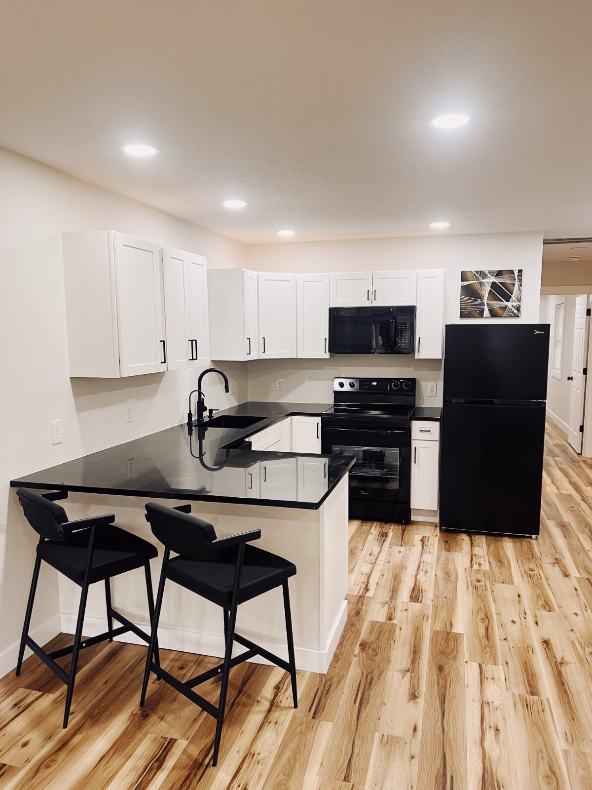Brand New Upscale Apartment - Photo 5