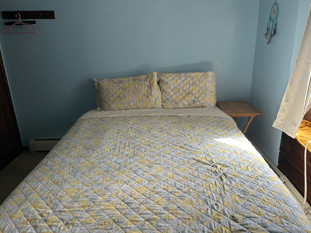 Cat Friendly household , with cleaning service - Photo 1