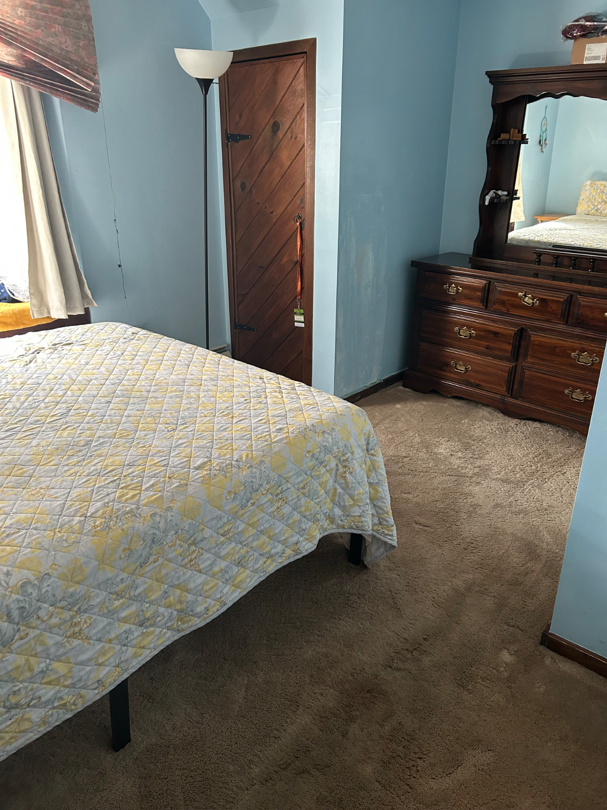 Cat Friendly household , with cleaning service - Photo 2