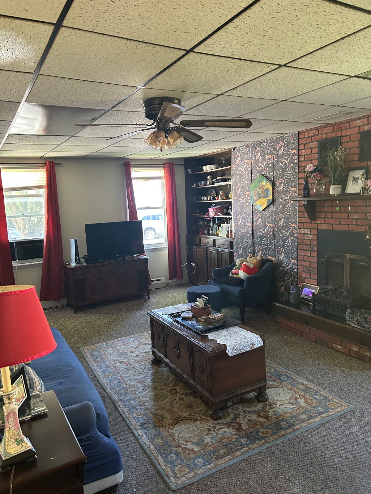 Cat Friendly household , with cleaning service - Photo 3
