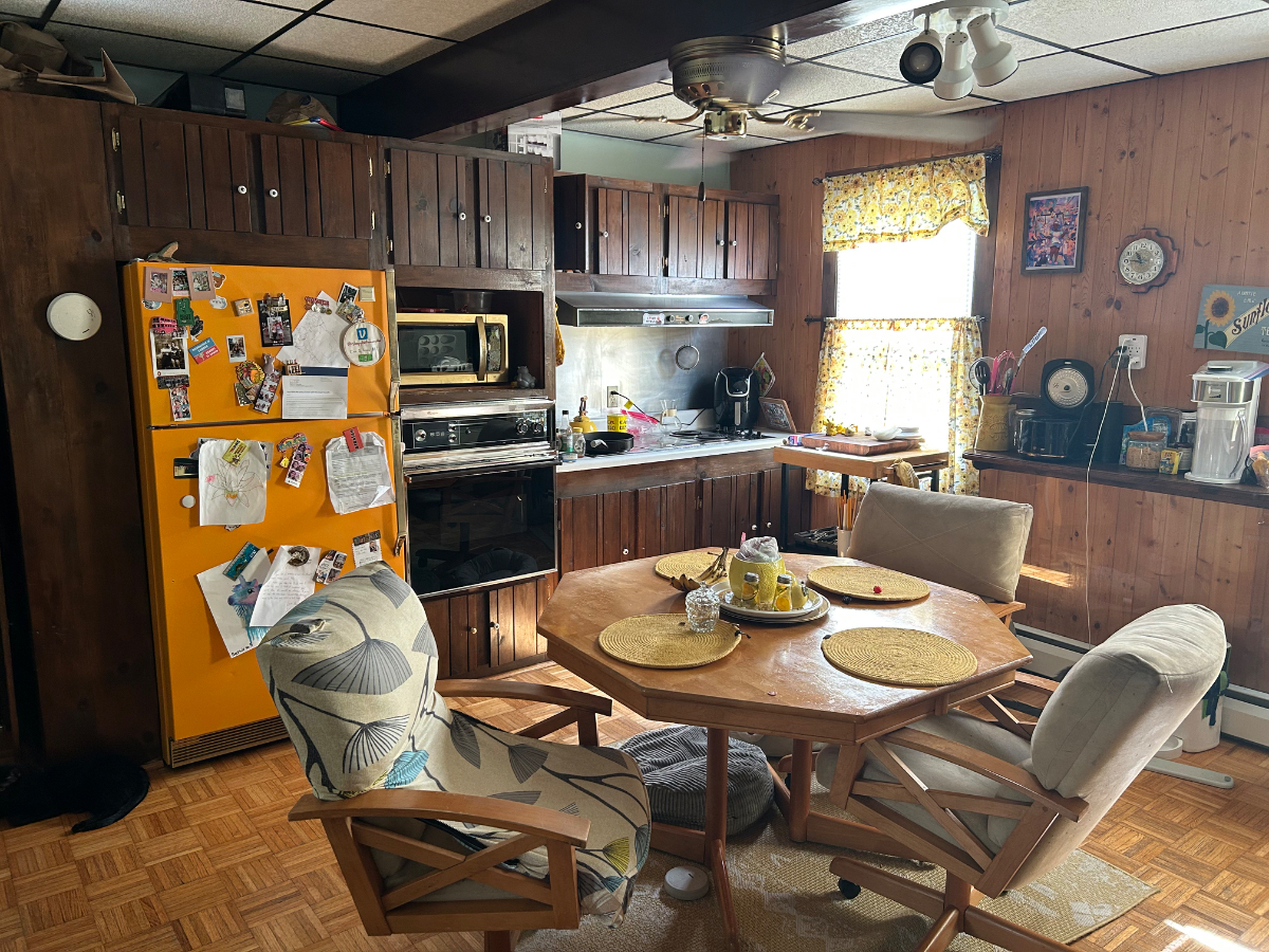 Cat Friendly household , with cleaning service - Photo 4