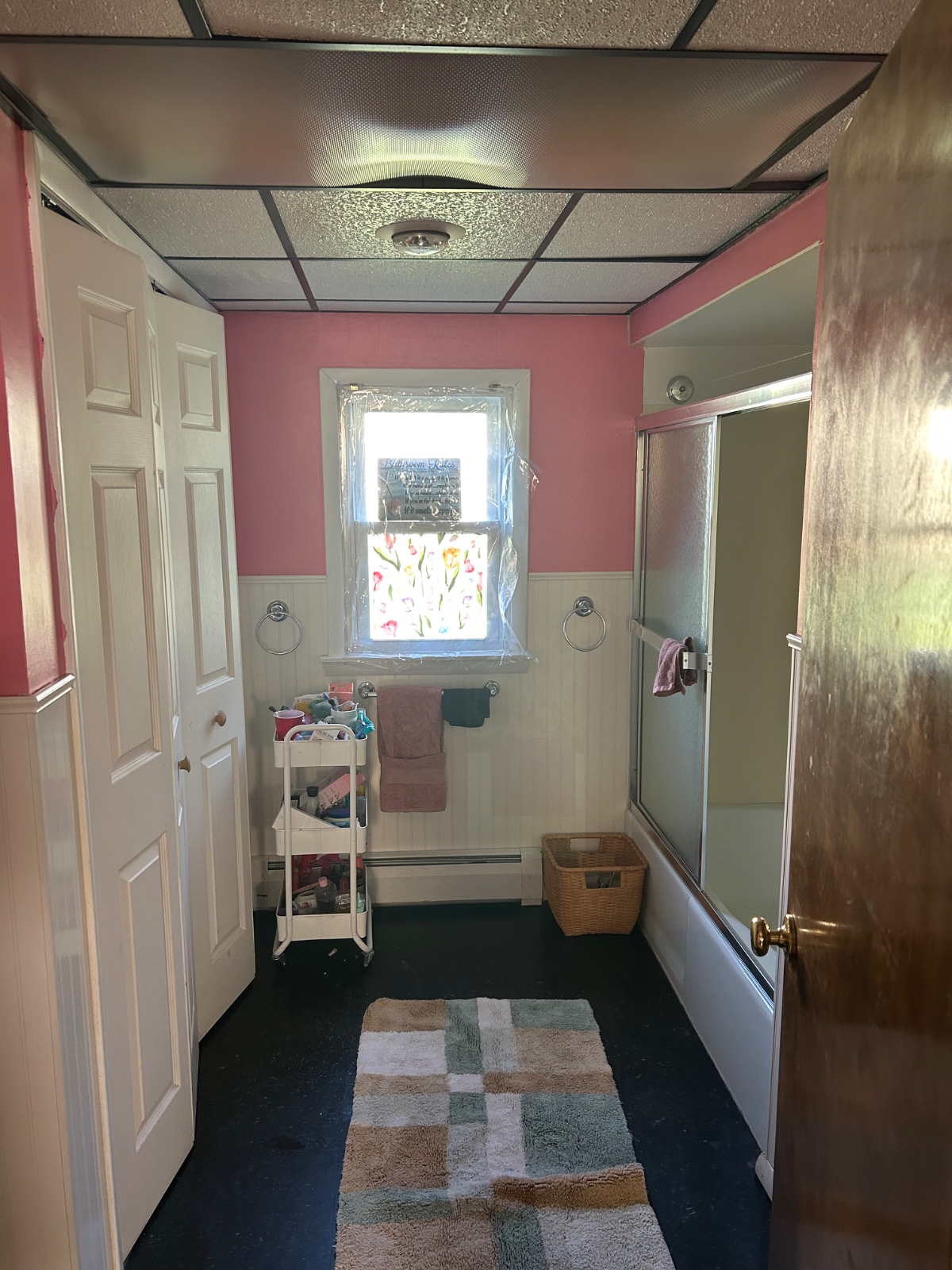 Cat Friendly household , with cleaning service - Photo 5