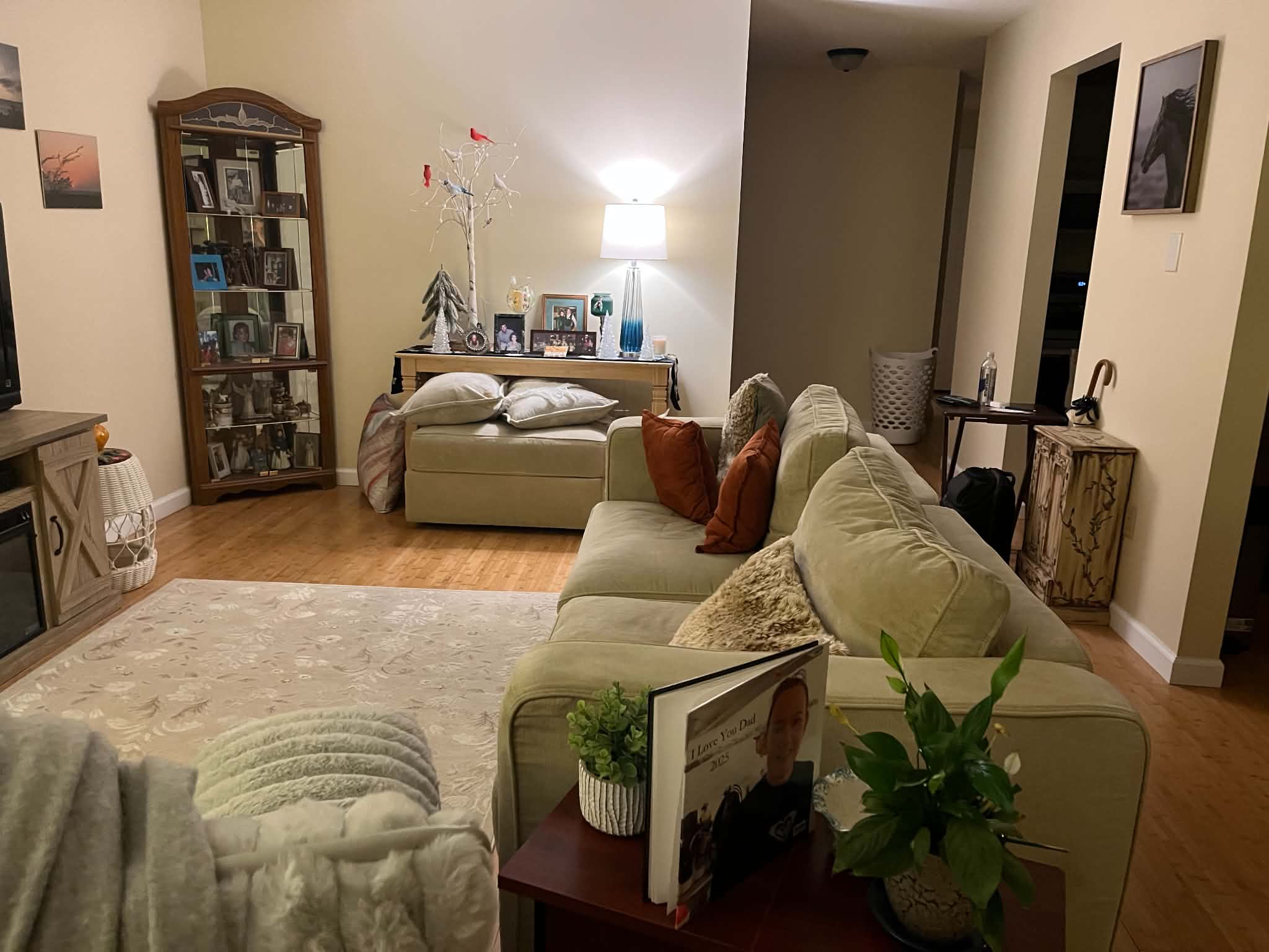 Pristine 2-bed 1 full bath condo quiet, safe upscale neighborhood - Photo 8