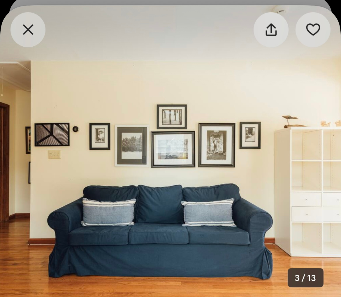 One-Bedroom Apartment Sunny Hardwood Floors Pets OK - Photo 5