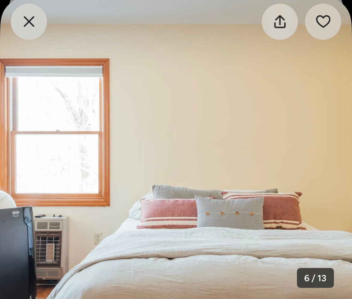 One-Bedroom Apartment Sunny Hardwood Floors Pets OK - Photo 8