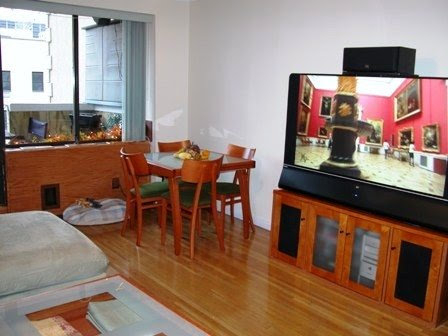 Next to Penn Station, sleeps 2 separately - Photo 3