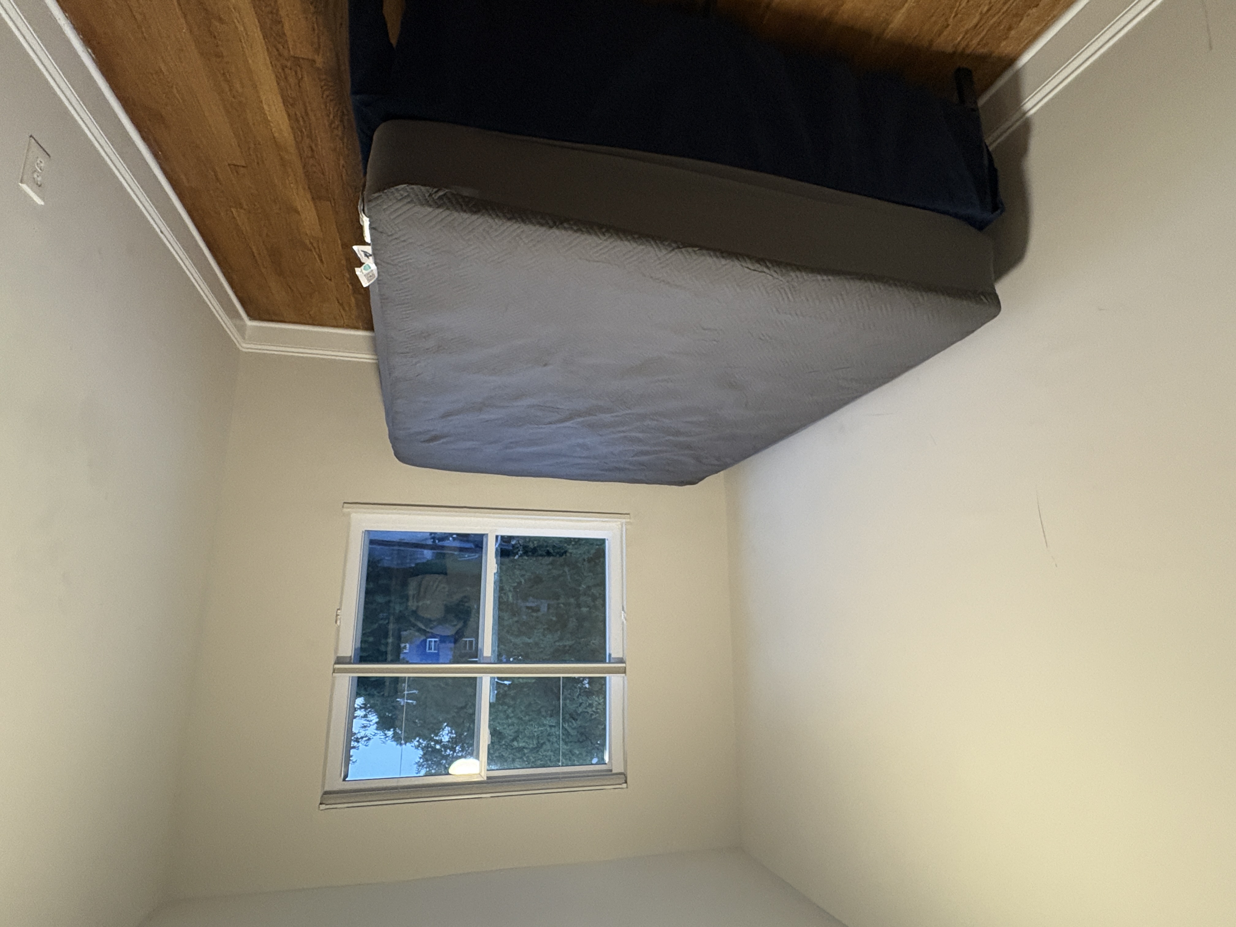 Charming Anacostia Row Home near Green Line & Navy Yard - Parking Included! - Photo 7
