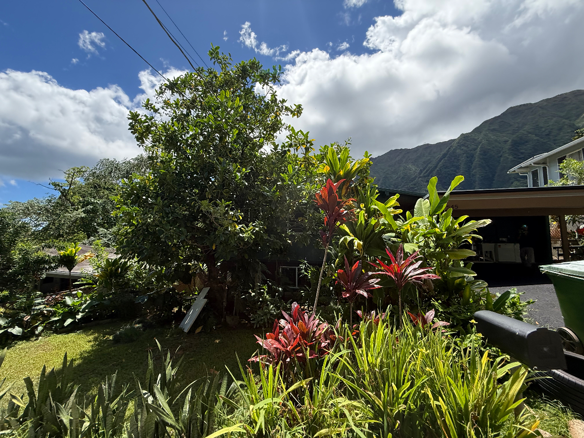 Designer Kaneohe Retreat | Stunning Koolau Views | 3BR/2BA - Photo 3