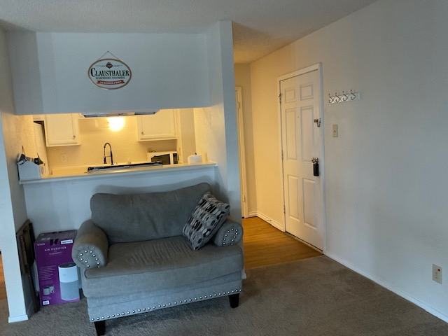 Quiet Fully Furnished 1 BR Condo in North Dallas/Plano Area w/ In-Unit Laundry, Covered Parking and  - Photo 8