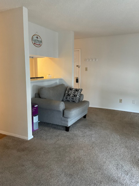 Quiet Fully Furnished 1 BR Condo in North Dallas/Plano Area w/ In-Unit Laundry, Covered Parking and  - Photo 11
