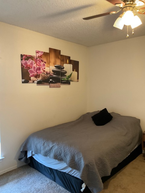 Quiet Fully Furnished 1 BR Condo in North Dallas/Plano Area w/ In-Unit Laundry, Covered Parking and  - Photo 12
