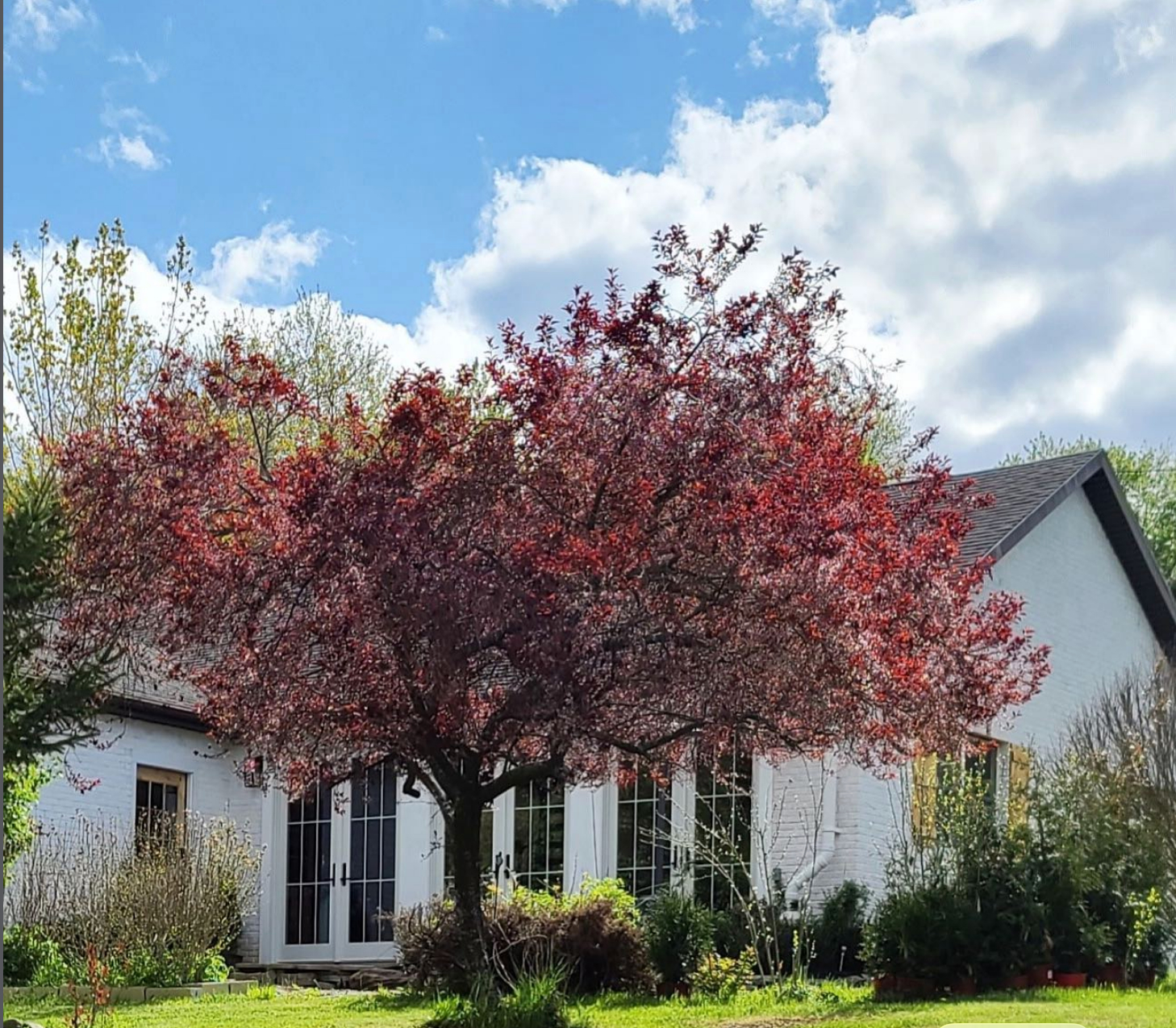 2,500 Sq Ft Fully Furnished Hudson Valley Home on 1 Acre - Monthly Cleaning, EV Charging & Easy Acc - Photo 1