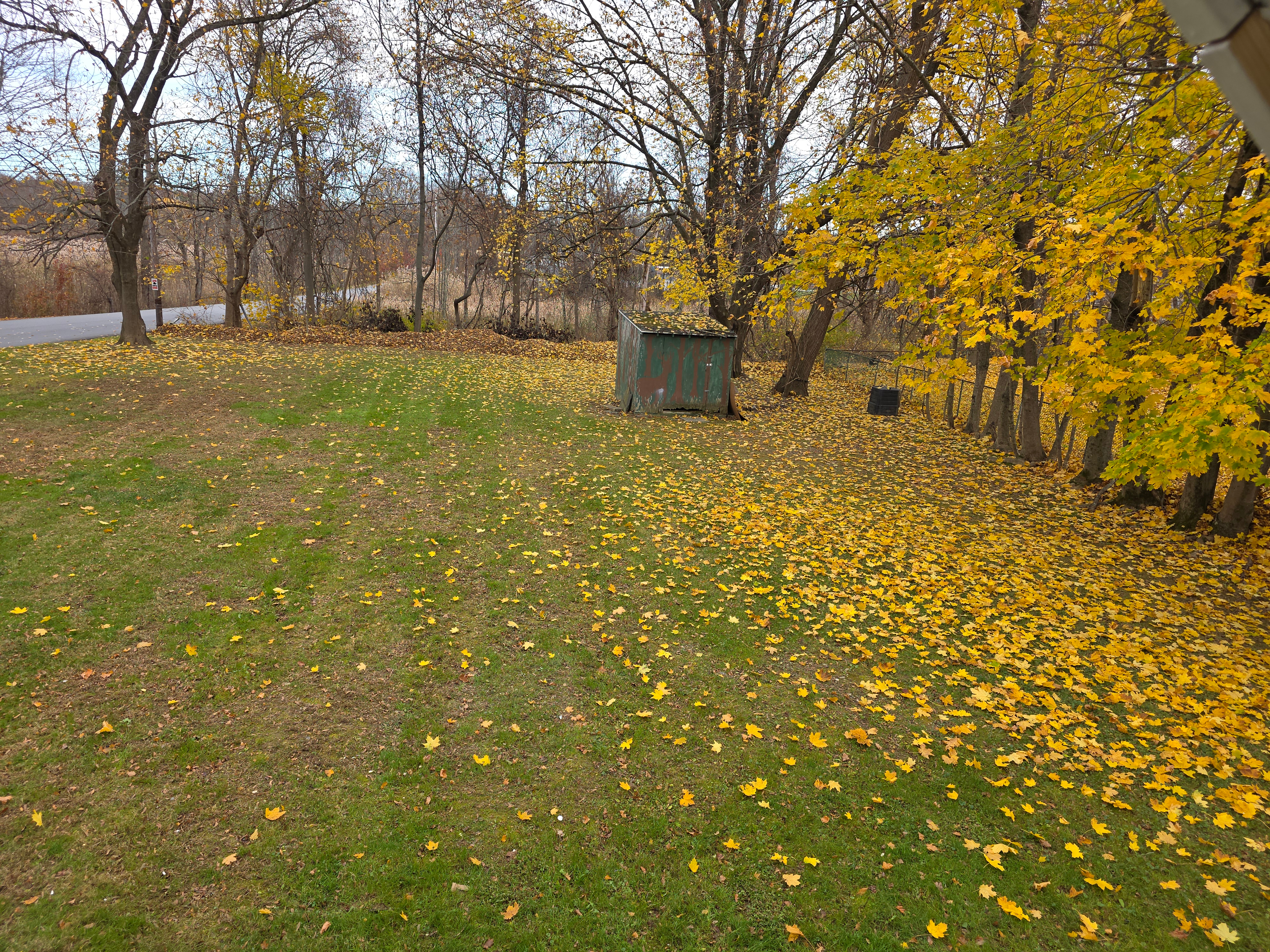 Idle Awhile in Hyde Park - Photo 9