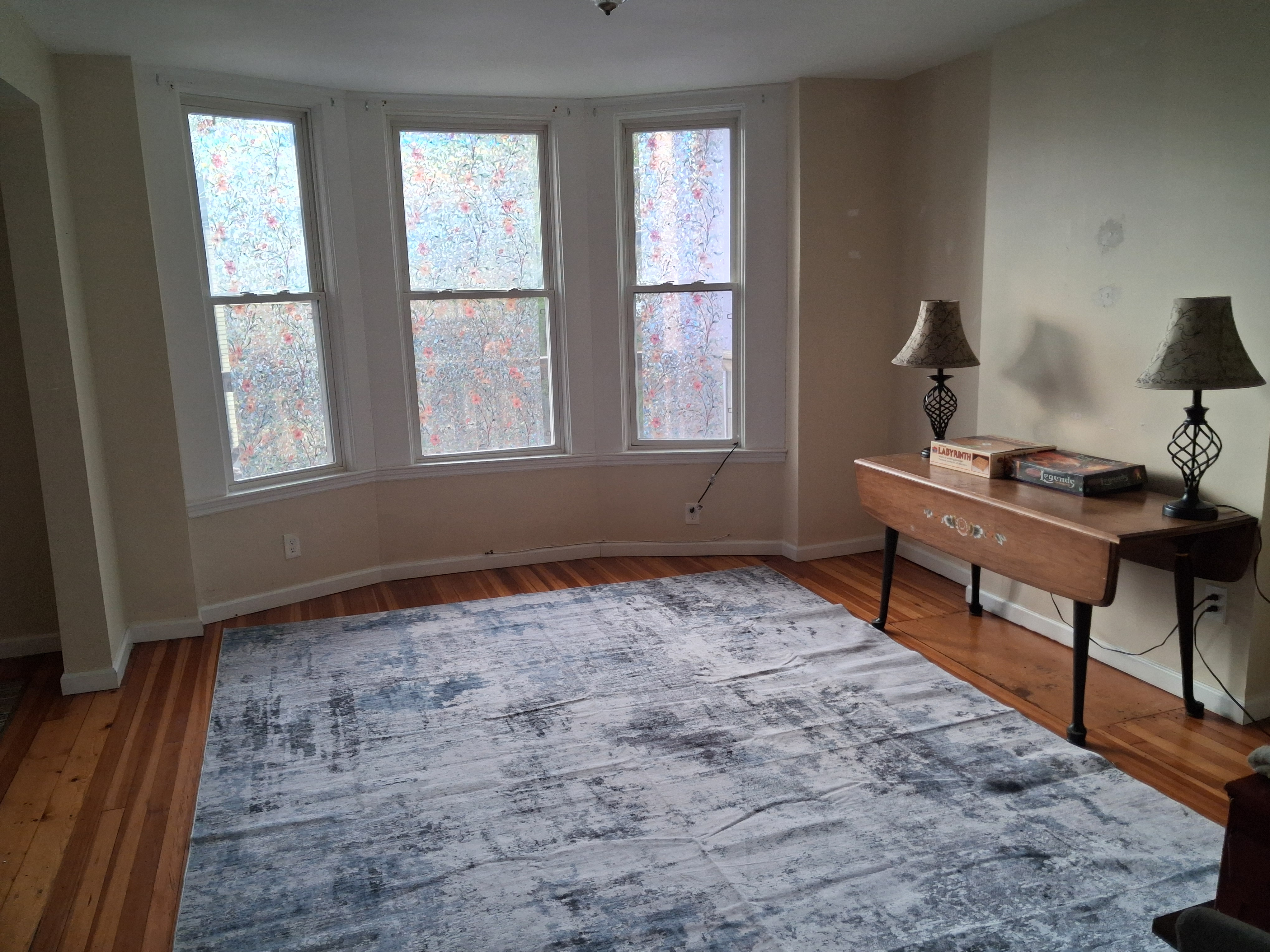 Walk to Samaritan or RPI. Super easy access to I-787. Right behind Hudson Commons. - Photo 4