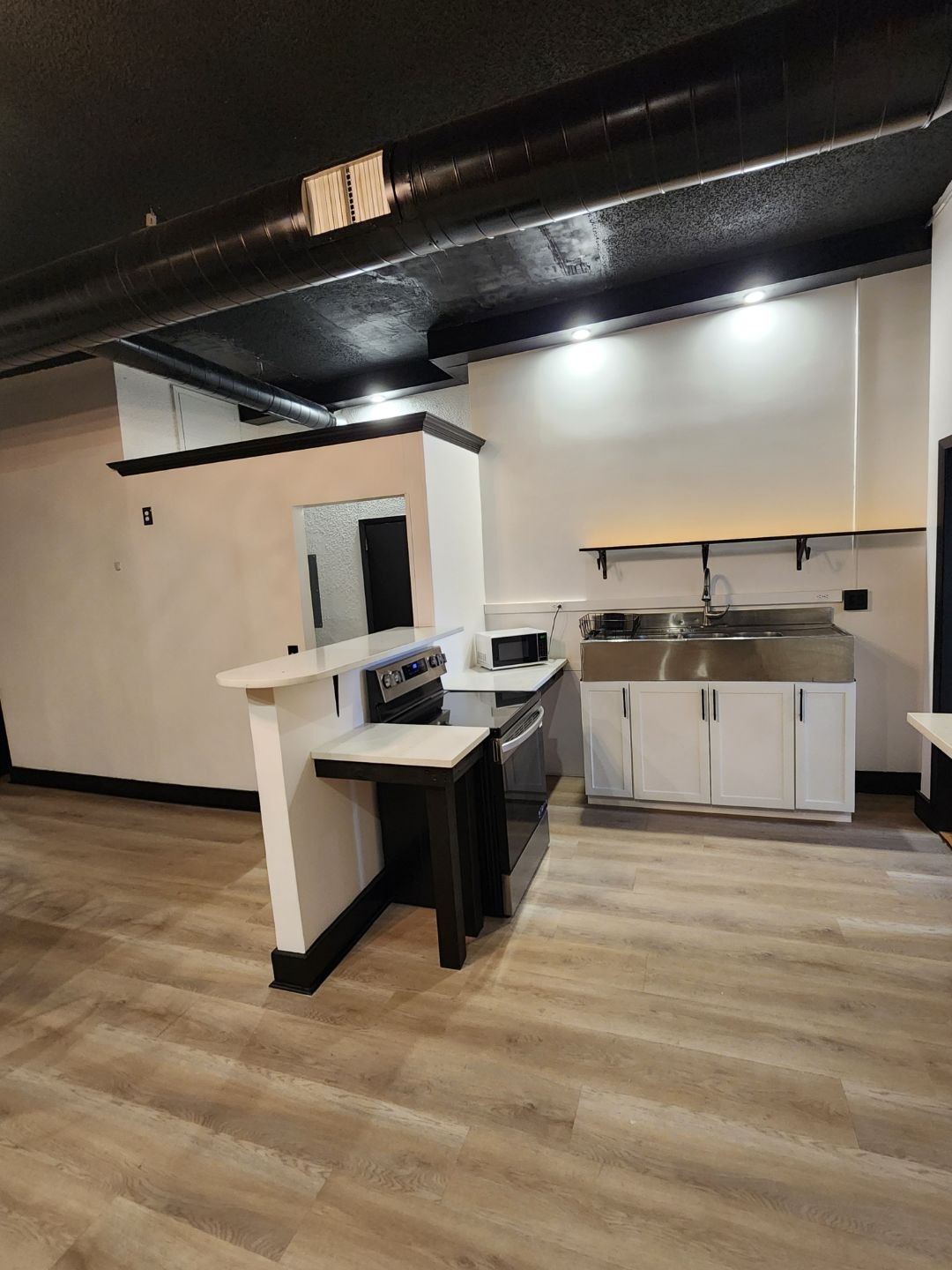 Newly Renovated Loft Apartment, 4 bedrooms or by-the-room - Photo 6