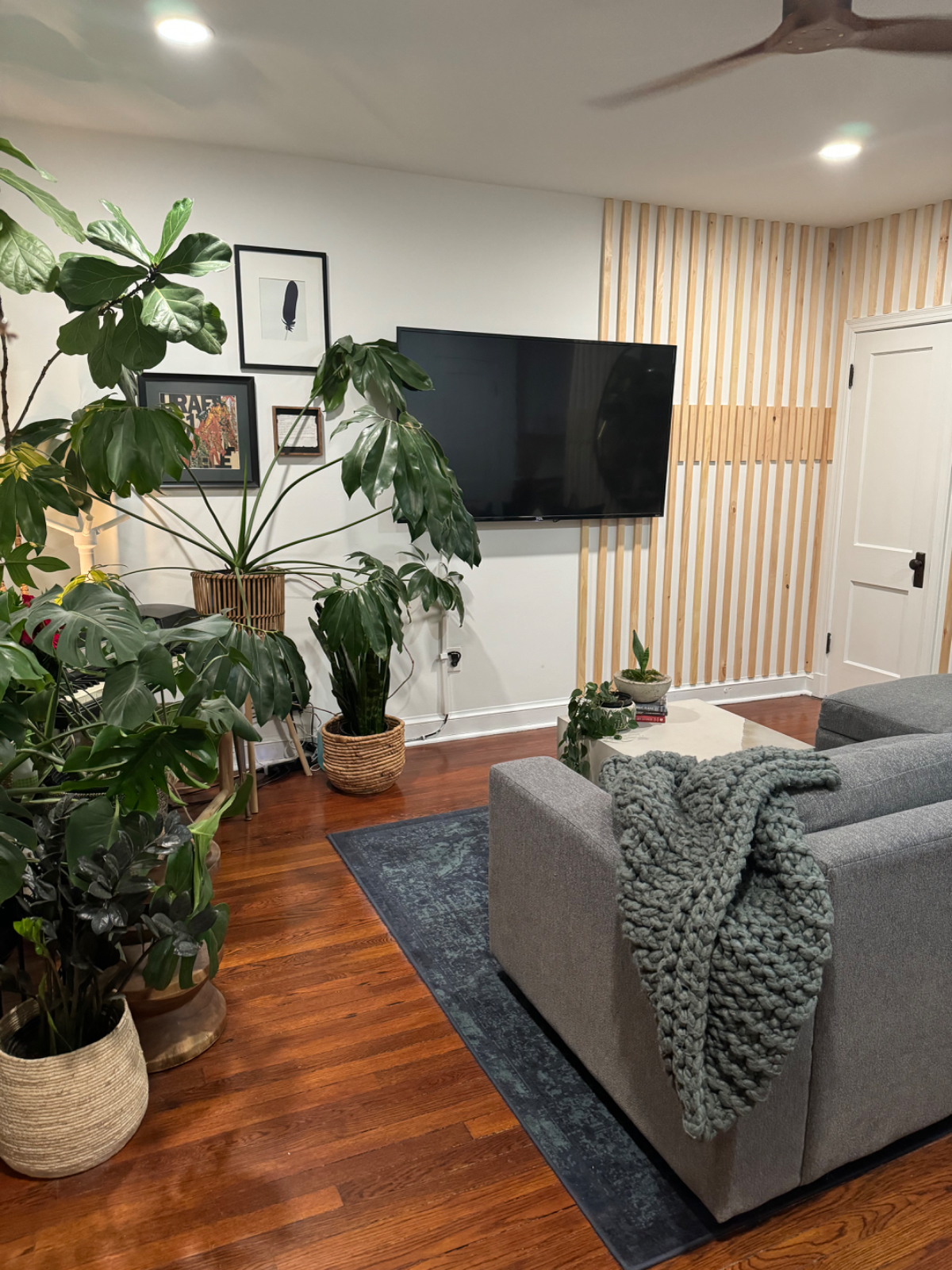 Charming 1 Bedroom, 1 Bath with Outdoor Deck and shared Backyard - Photo 2