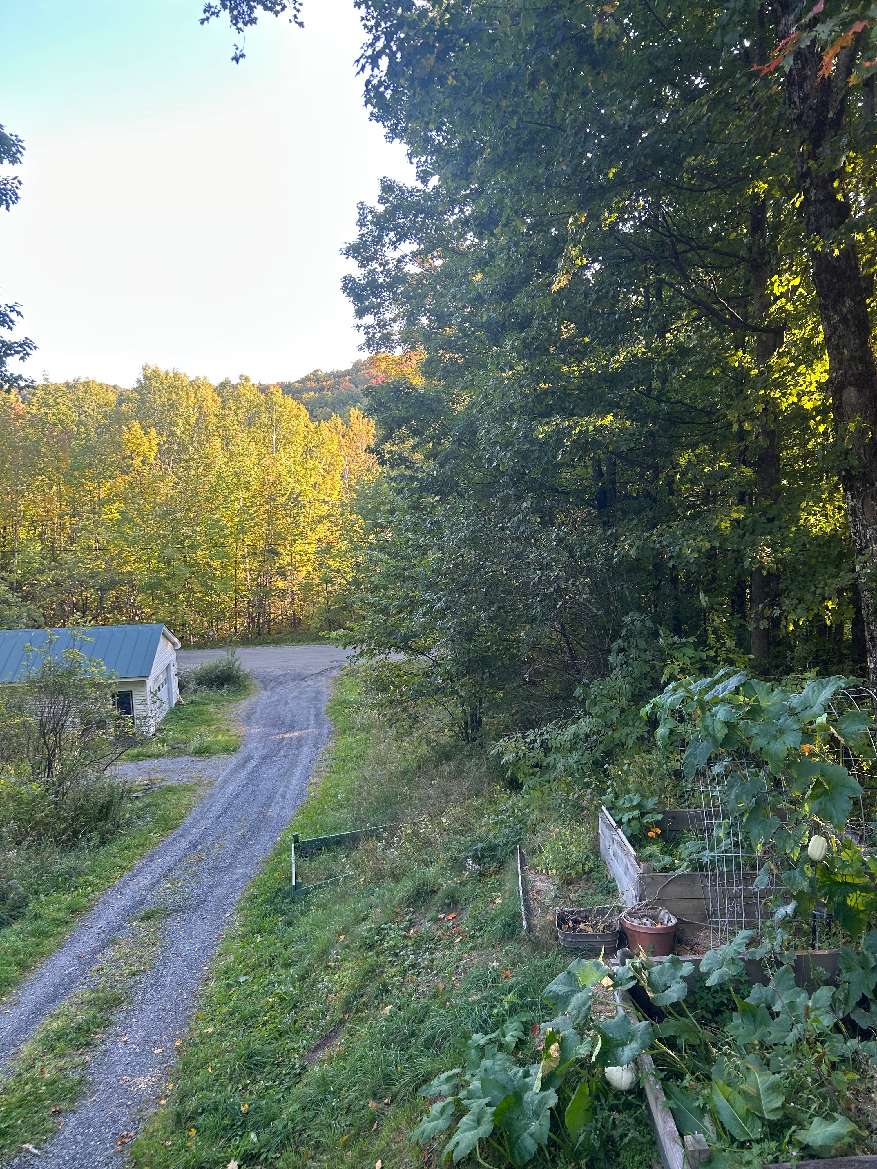 La Maison Du Tigre - Photo 3